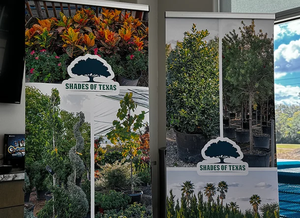 Banners-newImg-02